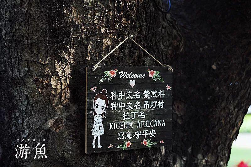 棋子的战争