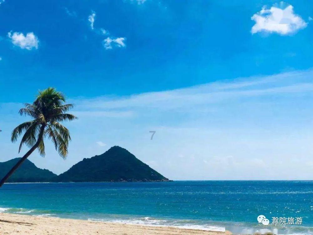 小僵尸射飞鸟