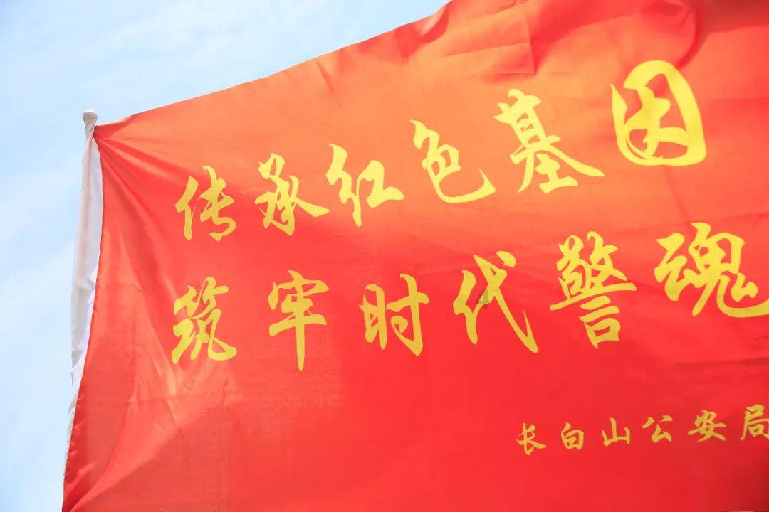 逃离天鹅森林