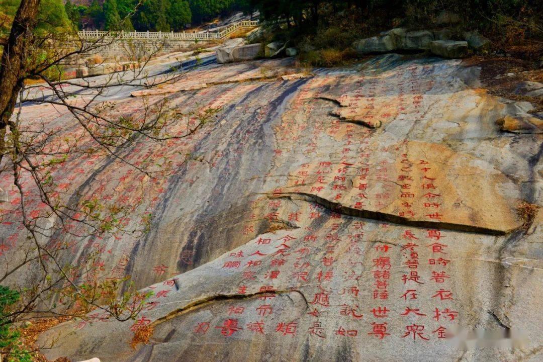 巫师2：刺客之王