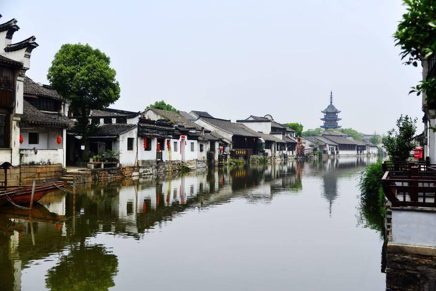 针织裙