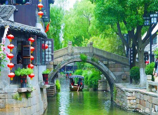 拯救蓝色小鸟